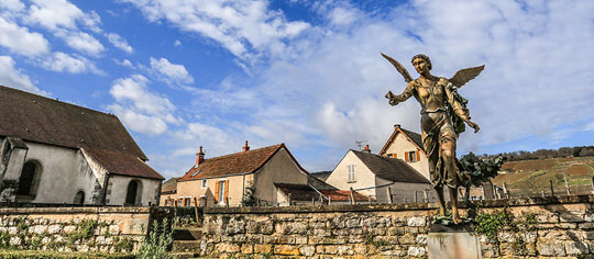 罗曼尼·康帝酒庄(Domaine de la Romanee-Conti)